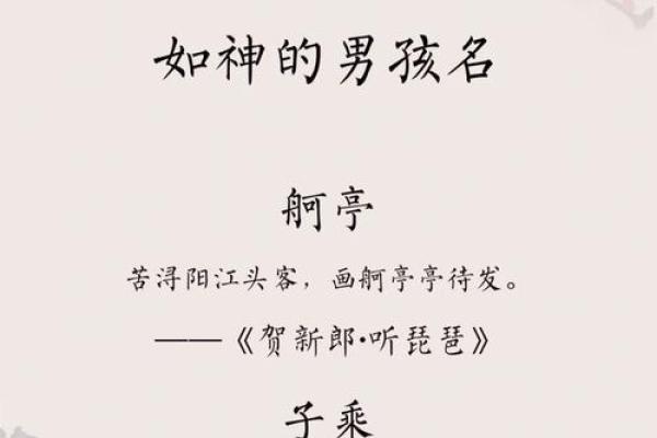 名字中的力量——卓字宝宝取名灵感