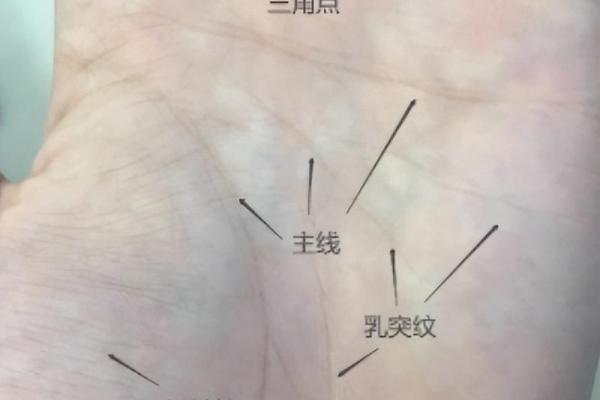 手相解读：一探男人生死命运之谜