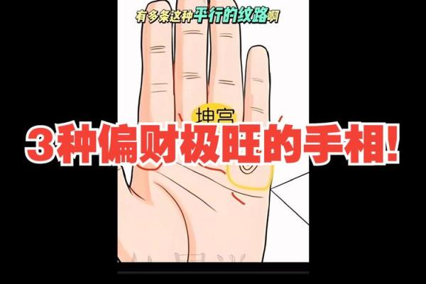 手指间的财运密码：揭秘手相中的发迹之路