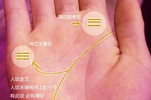 手指间的财运密码：揭秘手相中的发迹之路