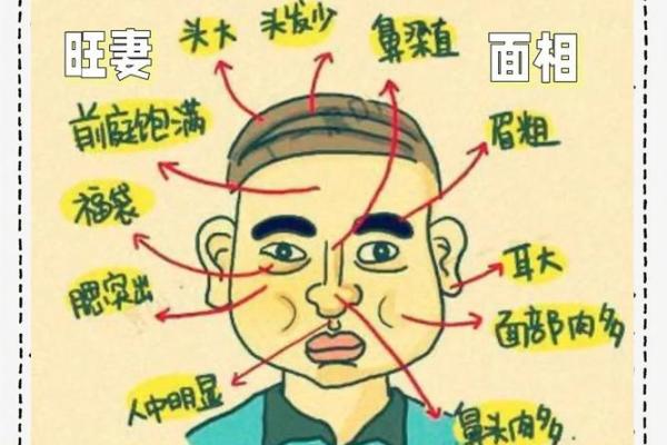 面相解码：名人之谜面相揭秘