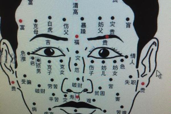面相奇观：痣点横生，运势如何？