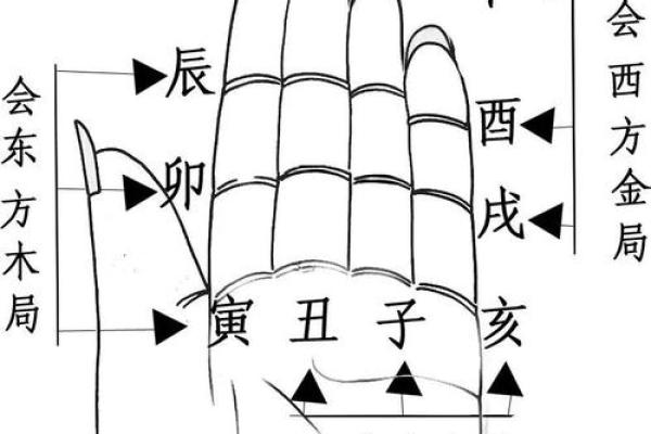 掌中乾坤，揭秘手相宫位运势秘籍