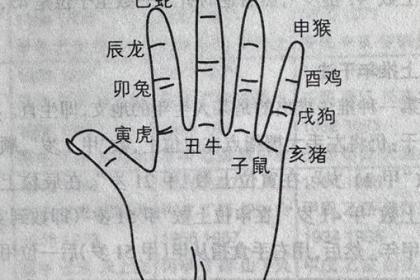 掌中乾坤，揭秘手相宫位运势秘籍