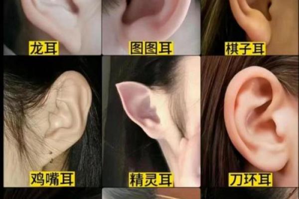 无肉之耳：面相之谜中的神秘象征