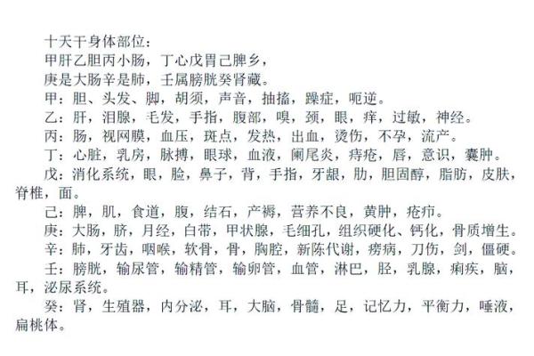 天干地支解密：揭秘人体与宇宙的神秘联系