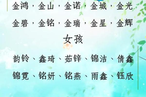 名字魅力大揭秘：如何挑选富有内涵的名字