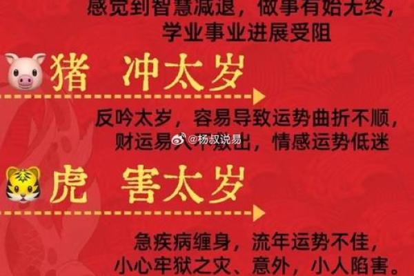 生肖运势揭秘：地支之力，揭秘你的命运密码