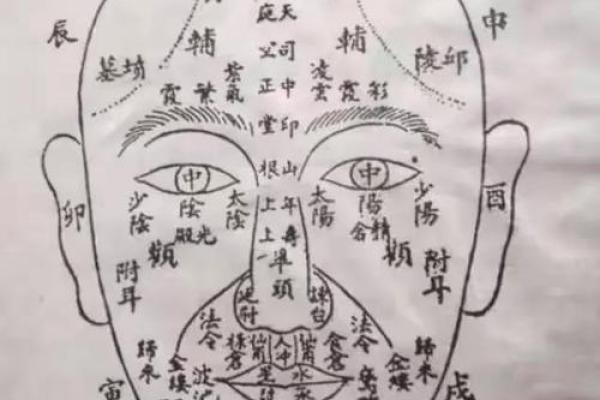 面相解码：揭秘面容中的命运密码