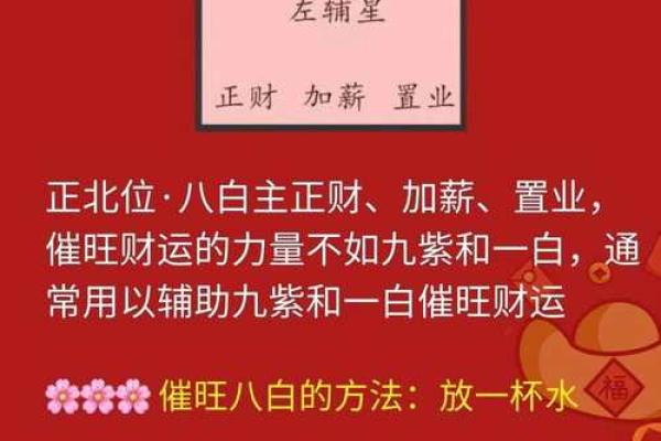 瞬间提升财运，家居风水布局秘法大揭秘！