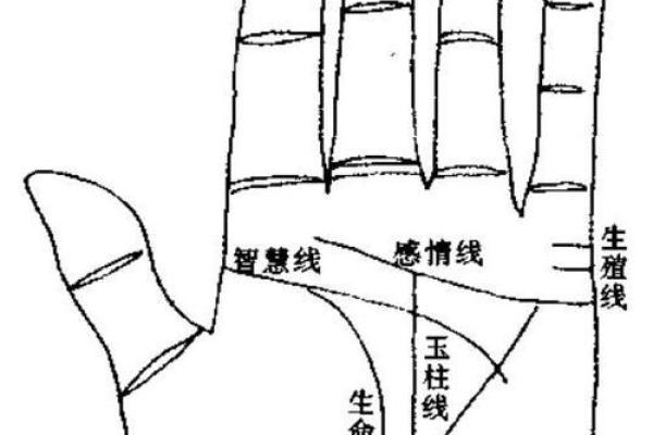 手相入门必备：揭秘几岁宝宝手相的秘密！