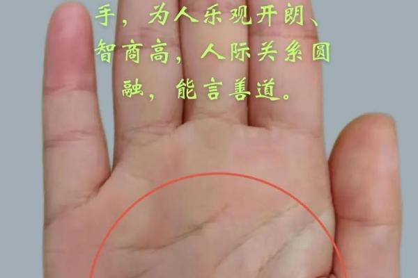 手相入门必备：揭秘几岁宝宝手相的秘密！