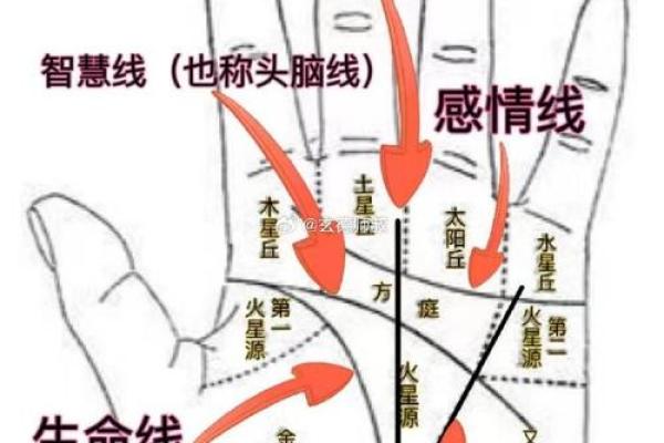 金月牙手相揭秘：财运亨通的秘密武器