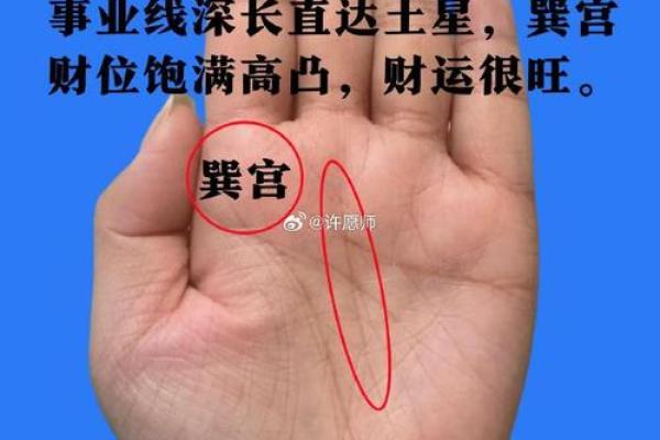 金月牙手相揭秘：财运亨通的秘密武器