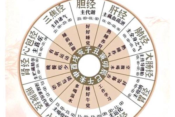 地支养生术：揭秘十二生肖的养生秘诀