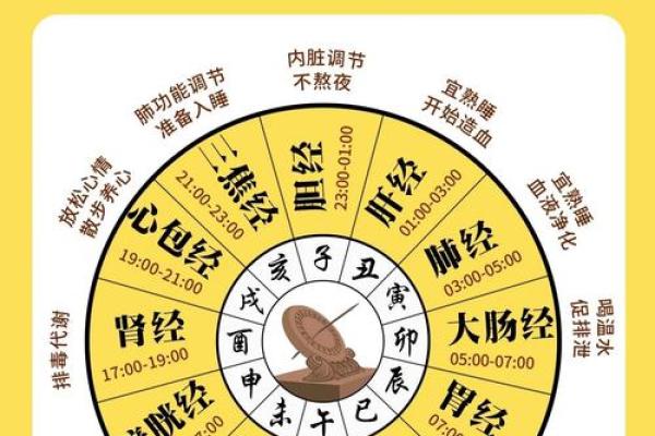 地支养生术：揭秘十二生肖的养生秘诀