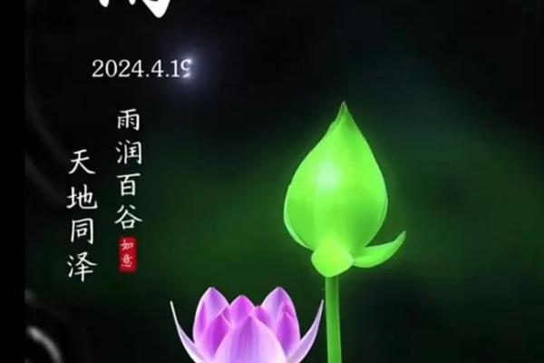 赵雨：雨润万物，润泽人生，寓意美好，运势吉祥