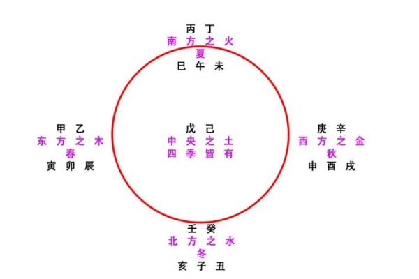 天干地支运势解析，把握人生方向