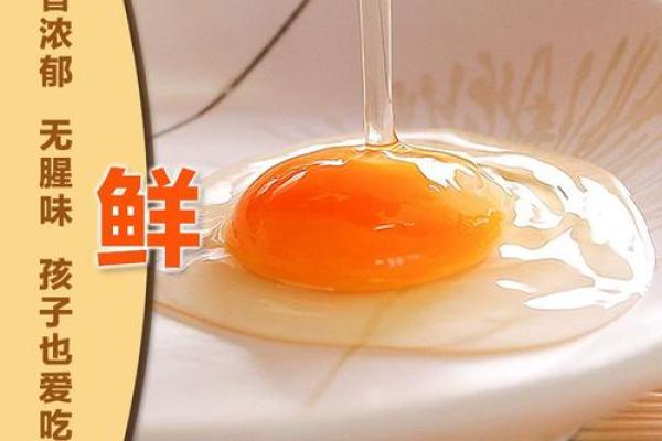 鸡蛋界明星：土鸡蛋名字精选集