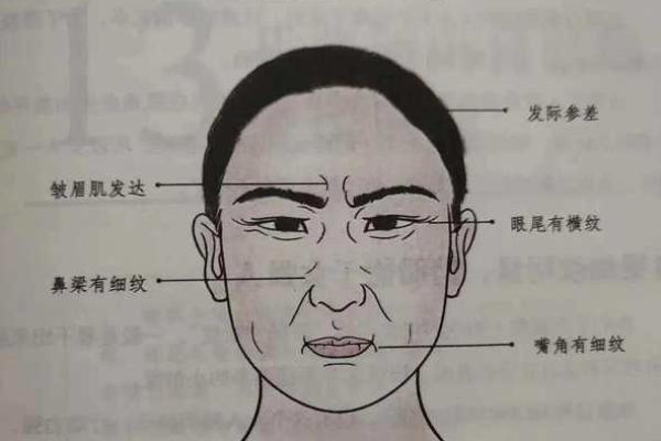 误判命运的面相之谜：揭秘那些被错识的五官特征