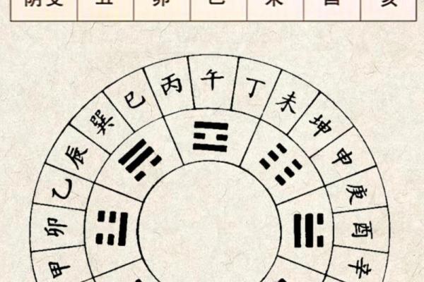 天干地支：地支的独特魅力解析