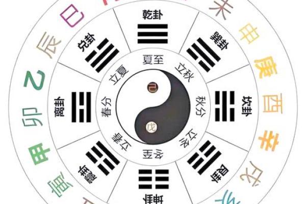 天干地支：地支的独特魅力解析