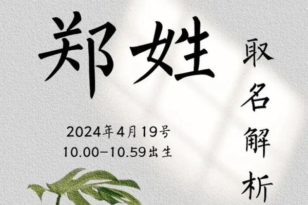 郑五行属什么，如何运用五行改善运势