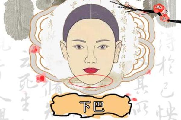 屁股下巴：女性面相中的神秘符号