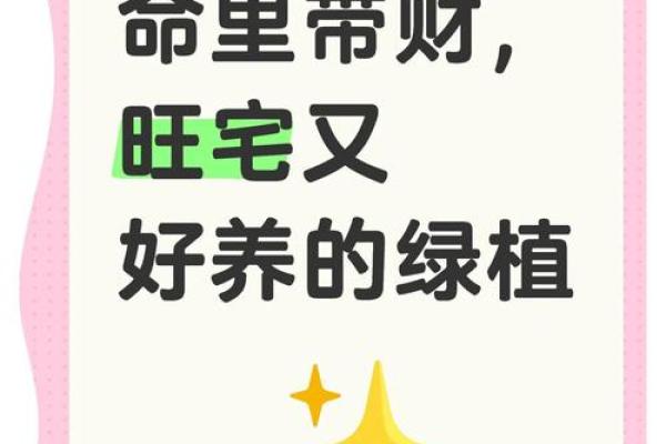 长沙家居风水摆设攻略：提升运势必备良方