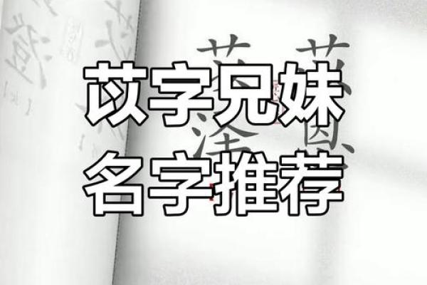 苡字在名字中的深刻寓意与象征