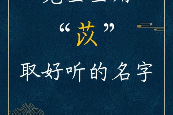 苡字在名字中的深刻寓意与象征