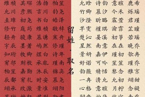 2017阳光宝宝名字精选