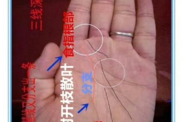 手相金星带解读：掌握你的爱情运势密码