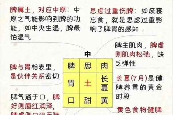 五行分析及其影响