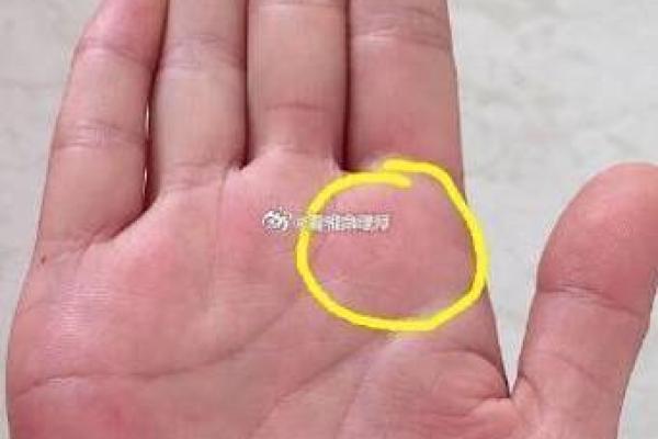 手相解码：颈椎问题预警，纹路透露惊人秘密！