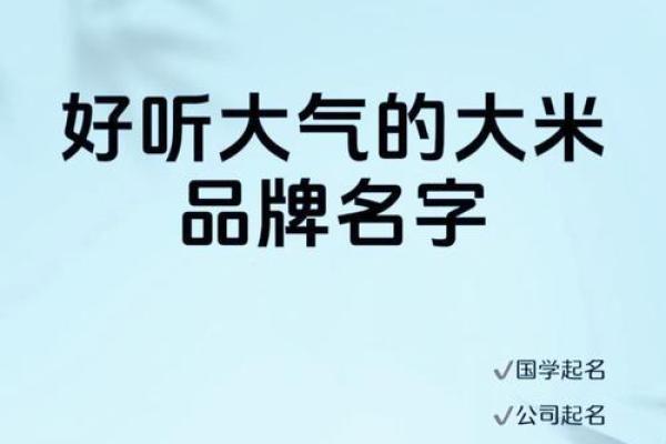 米字在公司命名中的文化含义与应用