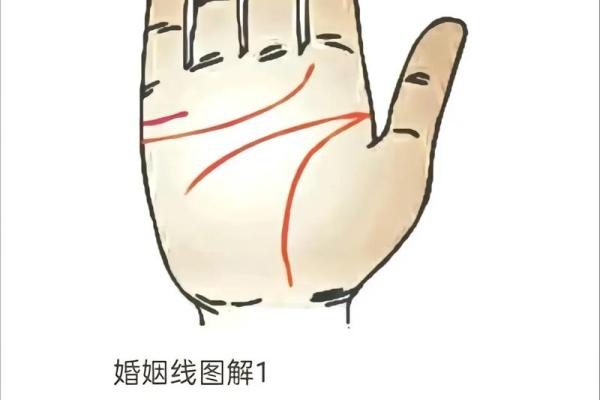 手相探秘：横纹掌纹背后的惊人秘密