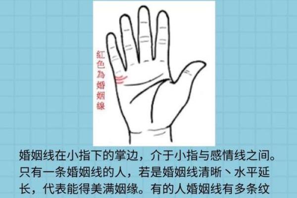 手相探秘：横纹掌纹背后的惊人秘密