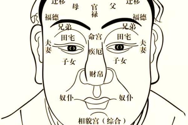 眉短面相解析：揭示眉毛短者命运与性格之谜