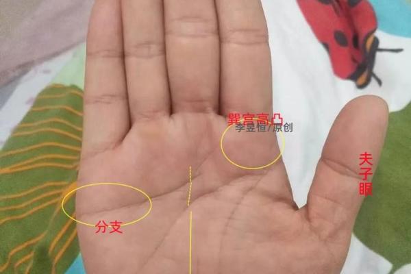手中有夫子眼，事业财运亨通！