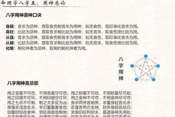 八字命理宝典：十神地支全解析，助你洞察命运