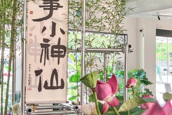 姓名之缘：古风店名中的文化传承