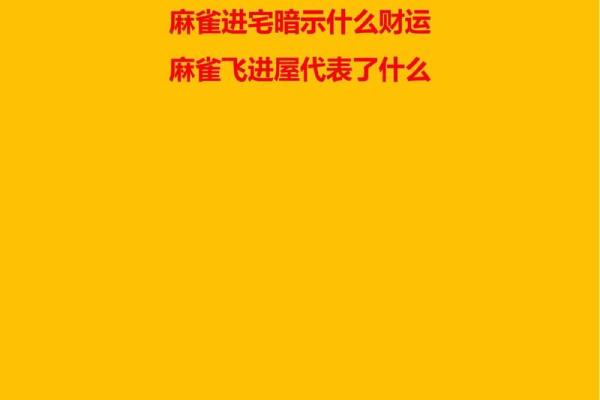 风水大师亲授：家居布局技巧，让家居生活更美满