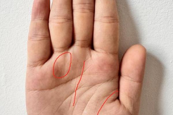 掌中秘密：揭秘改变命运的手相奇迹