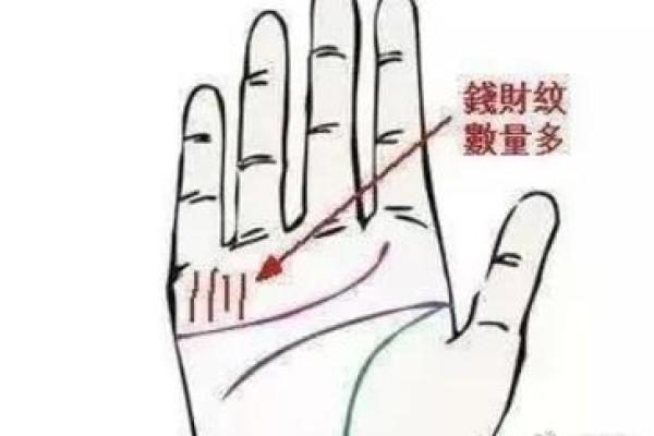 手中鱼纹，揭秘财富密码