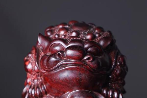 风水大师力荐，养这几种宠物让你财源滚滚！