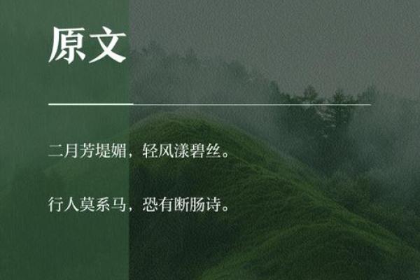 柳岸春风：名字中的诗意与寓意