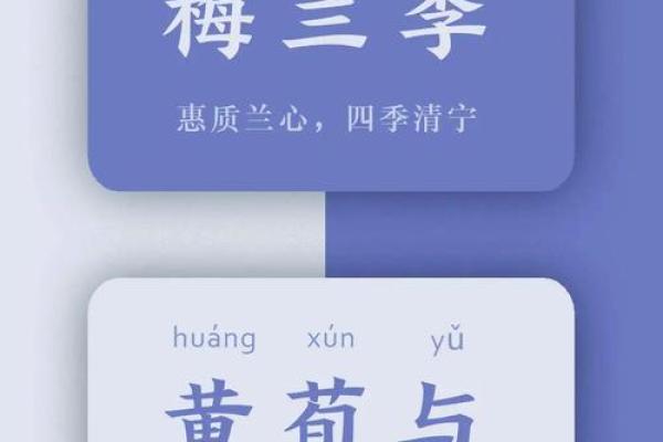 柳岸春风：名字中的诗意与寓意