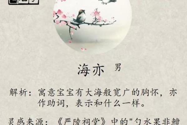 以湛字命名，彰显稳重与深沉的气质