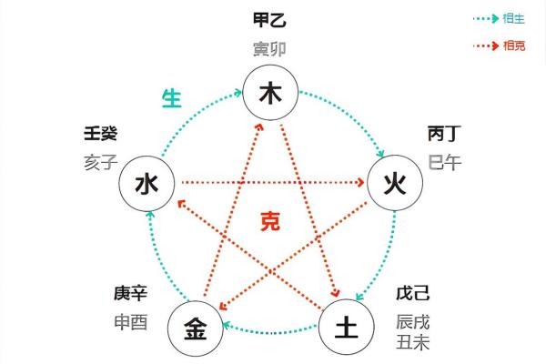 地支传奇：古老智慧的传承